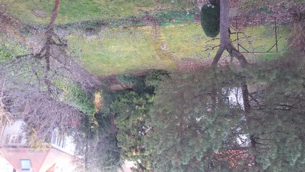 La maison de Dorothea