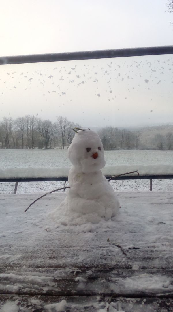 La maison de la cascade