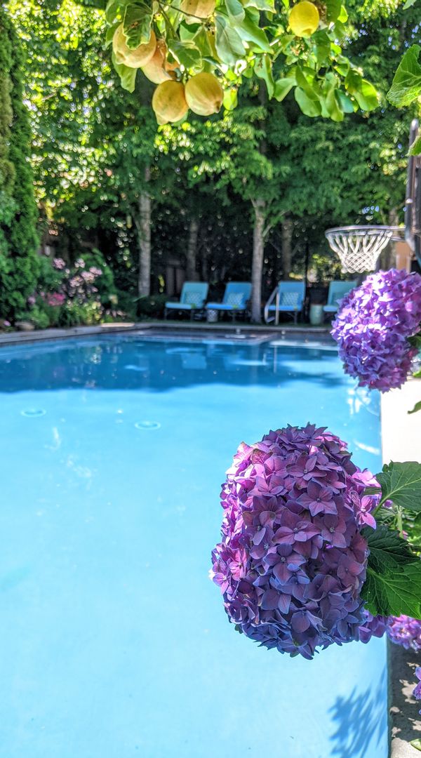 Menlo Park Home With Pool: looking for beach, lake or river exchanges or points max 10 nights.