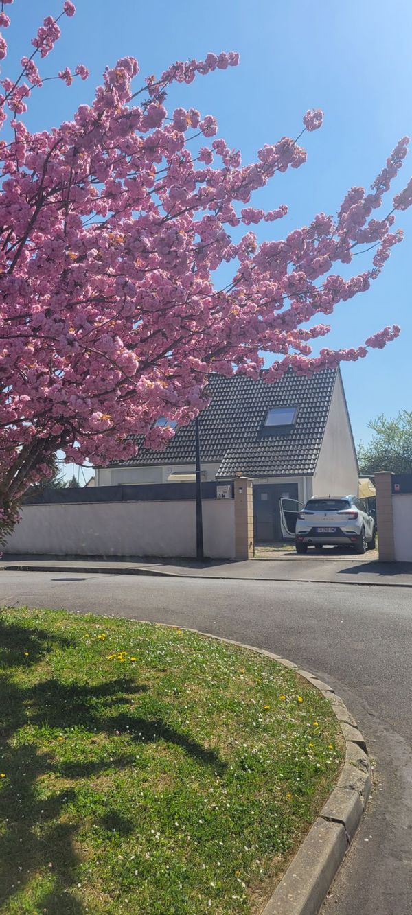 La casa di Emilie