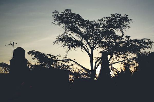 La maison de Guillermo