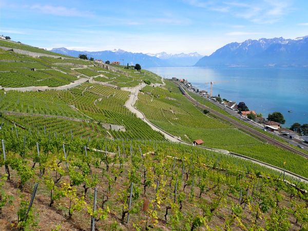 maison de Vincent et Heera