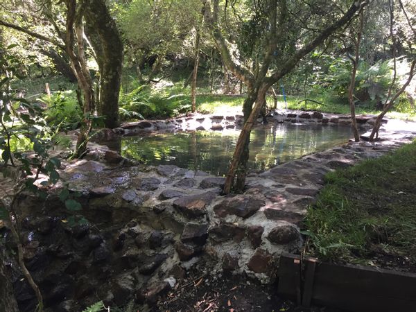 La maison de Carolina