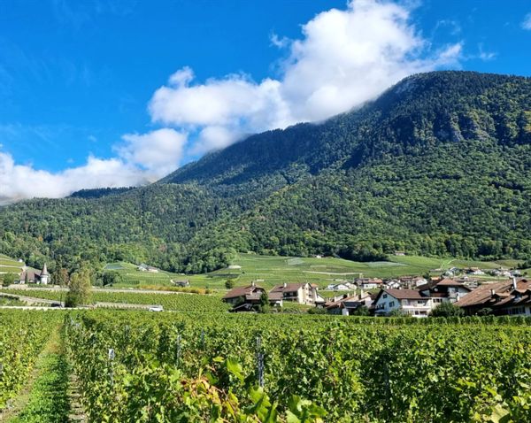 La maison de Lino & ViVi