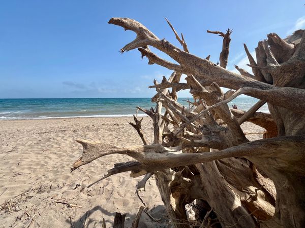 huis van Sophie Et Henri