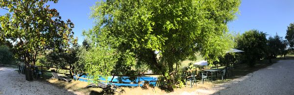 home