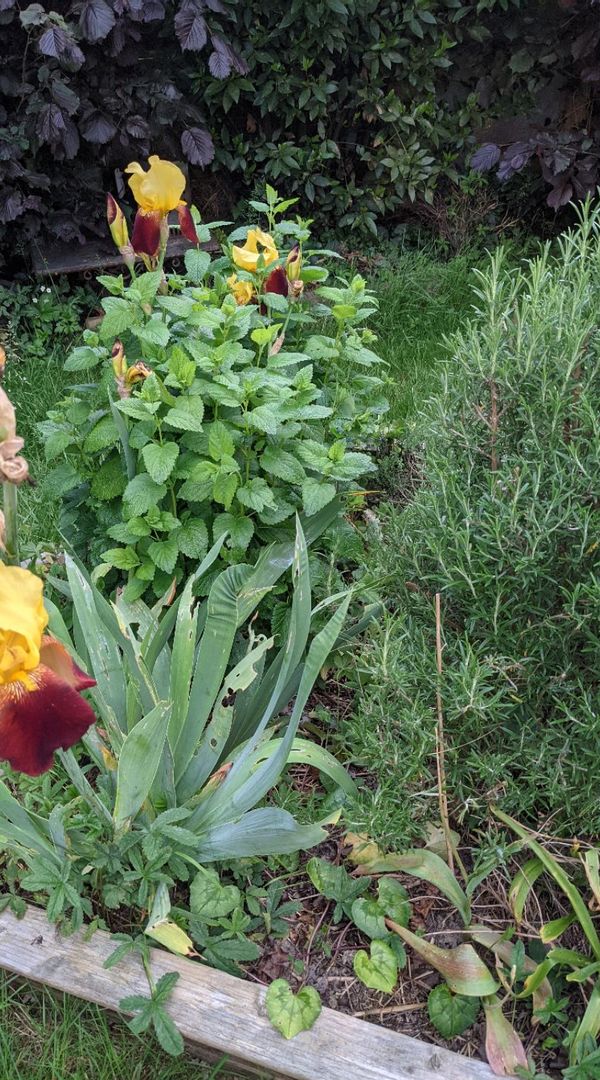 La maison Impasse de la Clairiere