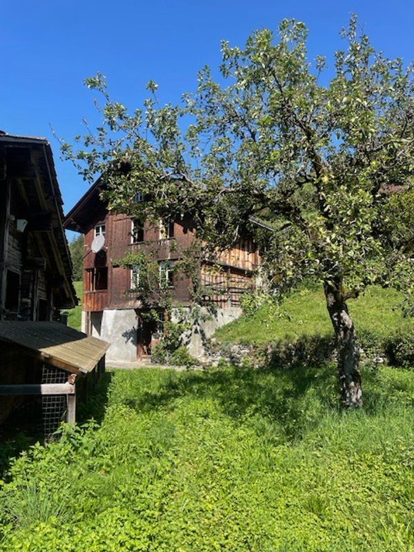 La maison de Anoushka