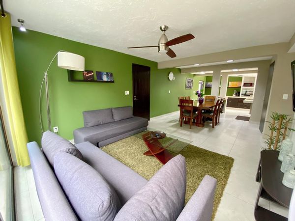 Fernanda's house