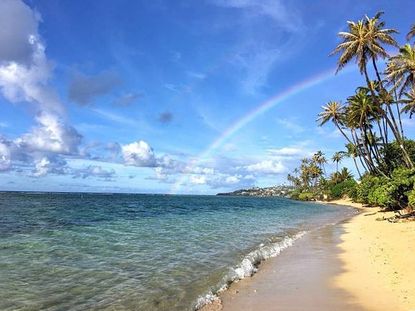 Cozy Room in Amazing Diamond Head Location (Vegan Kitchen)