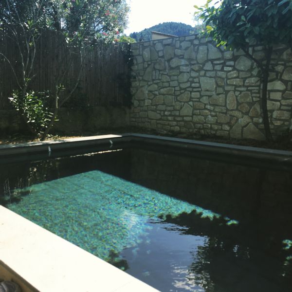 La maison dans les vignes