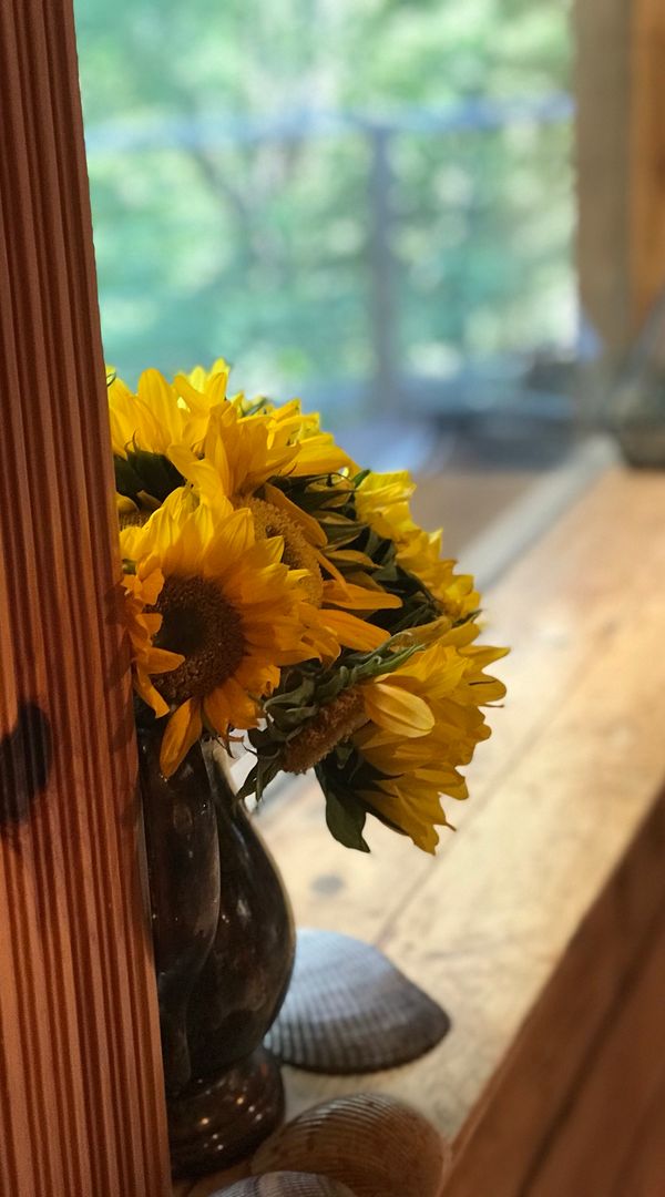 La maison de Maryrobin