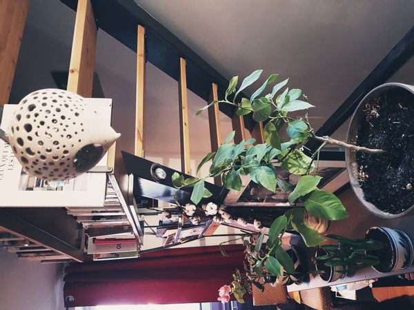 La maison de Audrey & Lionel