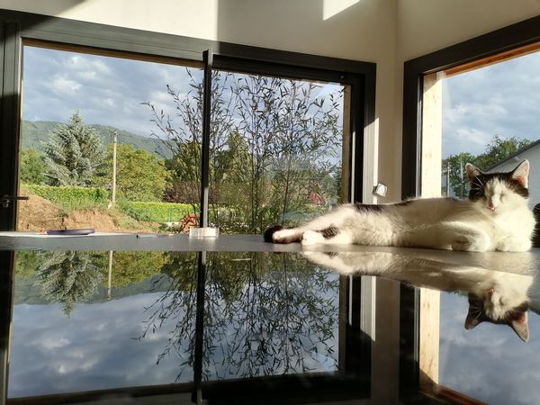 La maison de Jenny et David