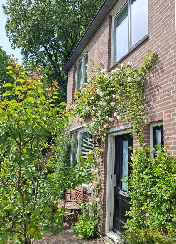 Family Home in National Park close to Utrecht, Amsterdam & Schiphol