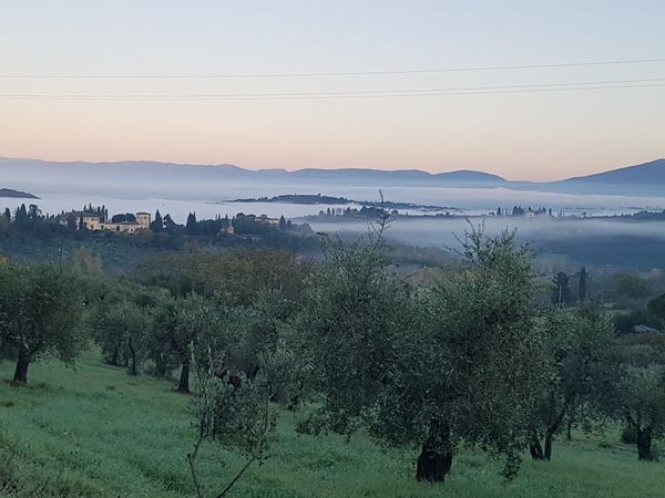 costanzaina kuća