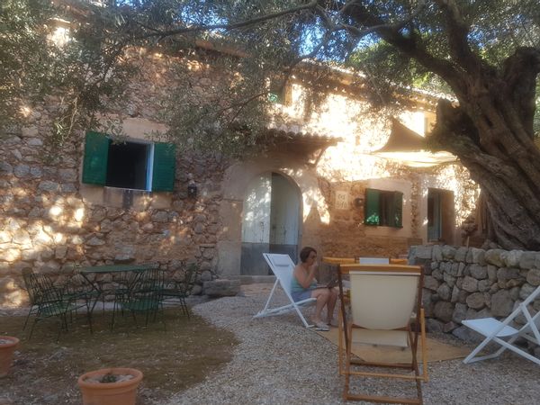 Un petit paradis à Majorque, au coeur des oliviers et près de la mer