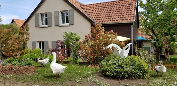 La maison de Séverine, Raphaël, Jeanne et Louise