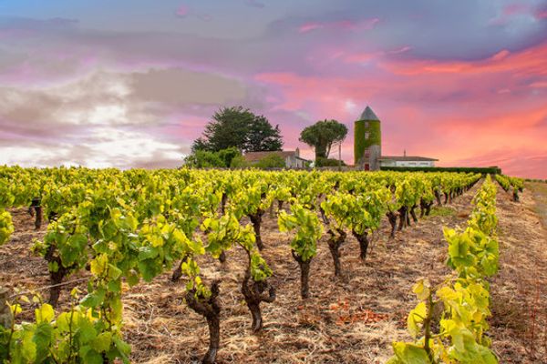 La maison de Nadège et Bertrand dans le vignoble nantais