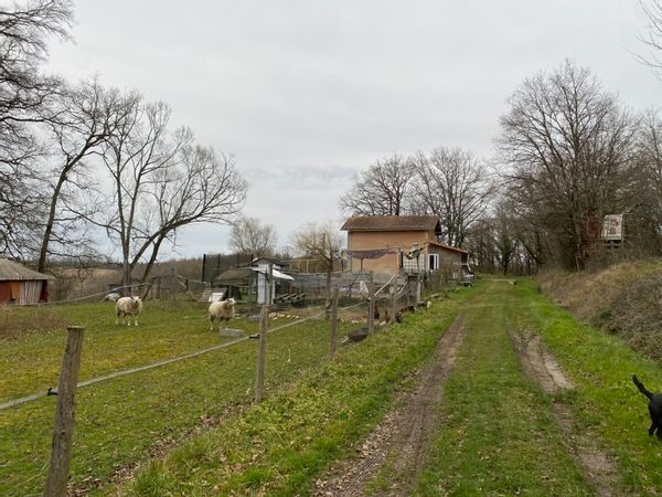 La Villa des Oiseaux