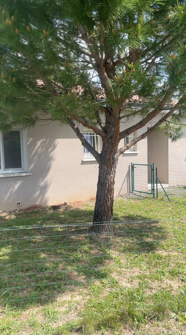 Maison de village à 10 km d’Albi