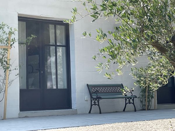 Le séquoia de La Fayette