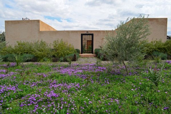 House in  a 5 hectares olive plantation