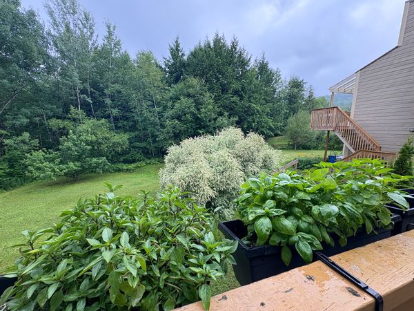 Le petit chalet/condo de Annick