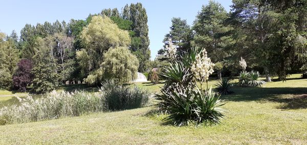 Maison et bulle des châteaux