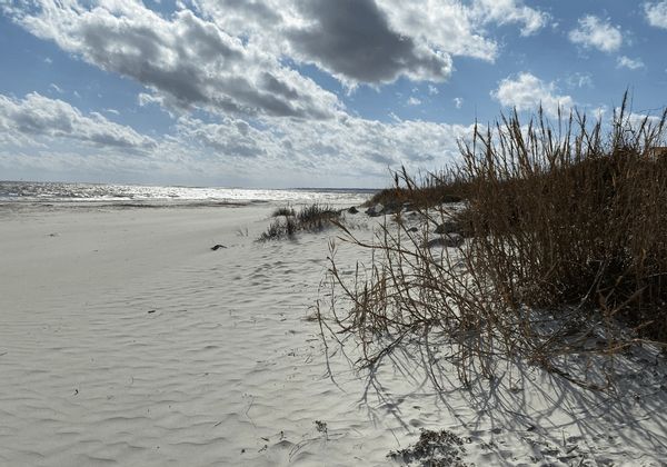 Coastal Georgia - Saint Simons Island Retreat