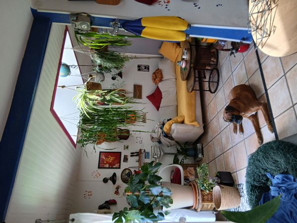 C’est une jungle à 15 mn  en voiture du centre de marseille