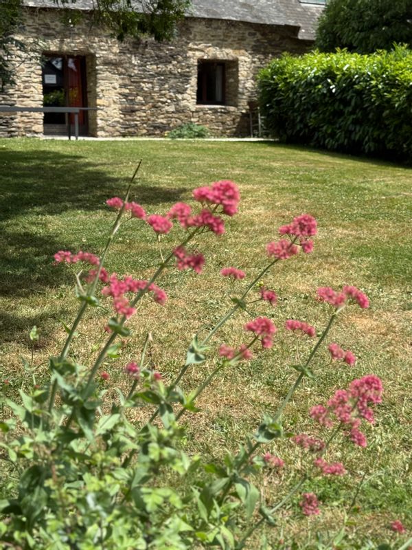 Le Gîte des Dryades