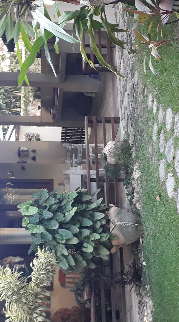 La maison de Angélica