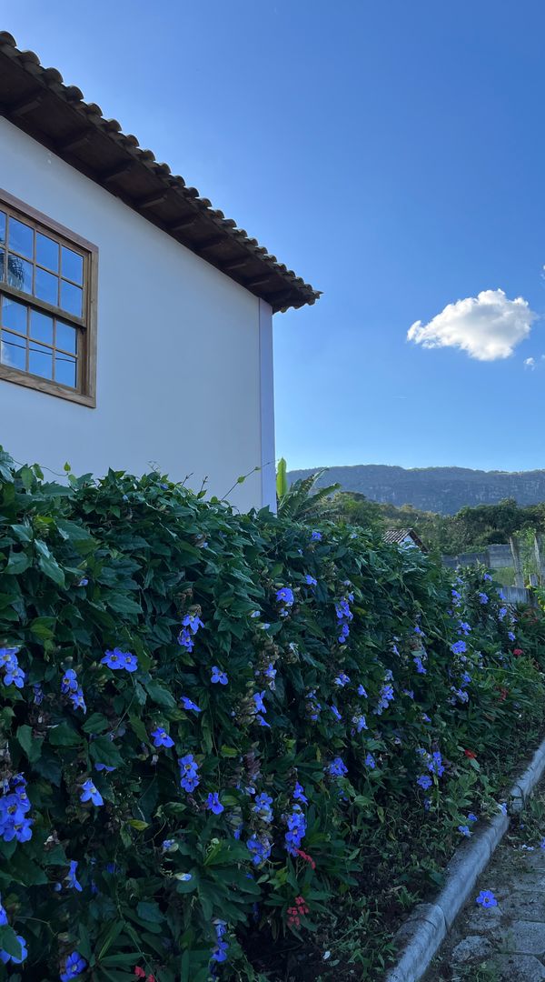 La maison de Vitória Ribeiro