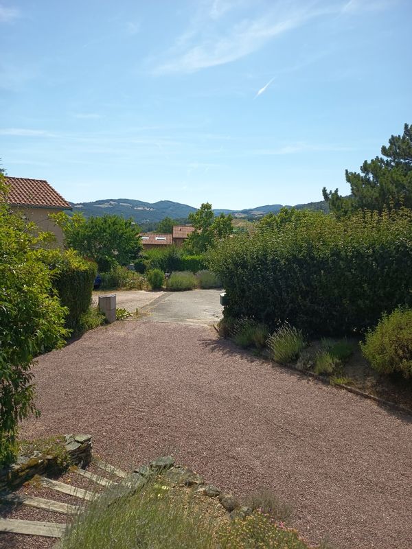 Martines hus
