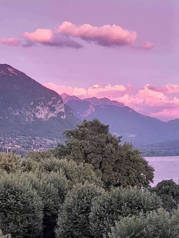 Le Reseda Appartement lumineux pres du lac