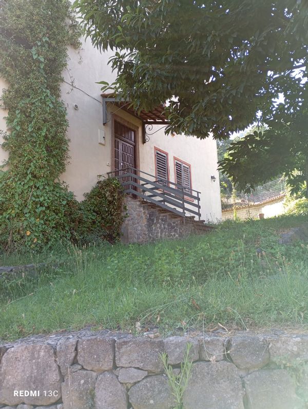 Anna's house