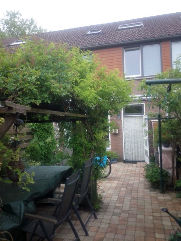 C's house