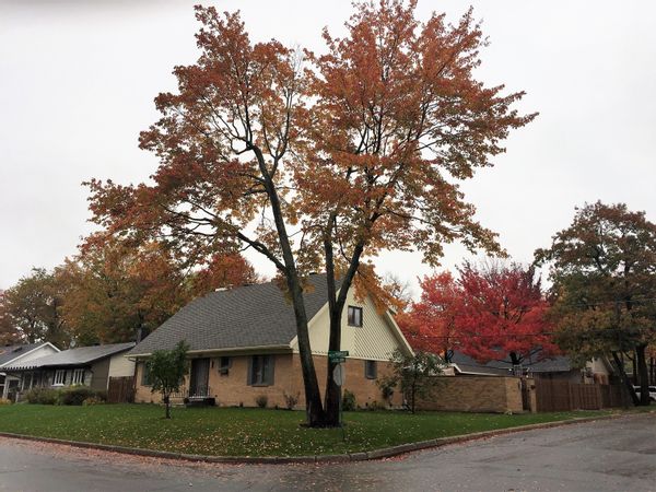 Home in Sainte-Foy-Sillery-Cap-Rouge