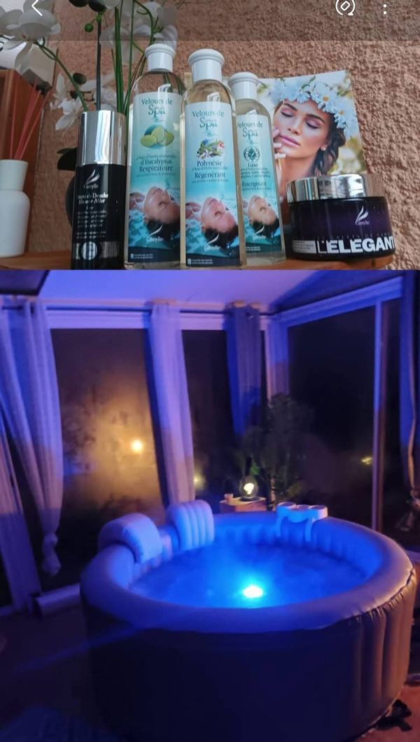 PISCINE /SPA  dans un havre de calme et de paix. Près de Perpignan et Espagne. Profitez d avril !