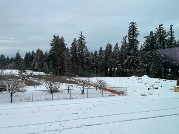 Suburban home close to Portland and Willamette valley