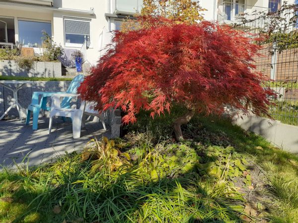 La maison de Beatrix