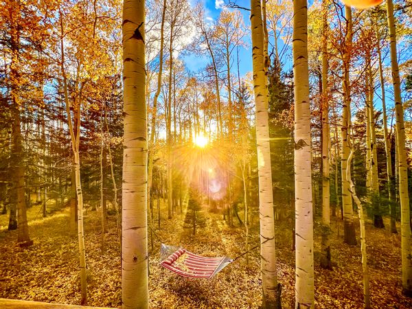 La maison de Stacey & Steve