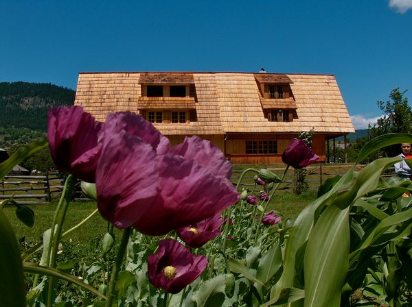 La maison de Alexandra
