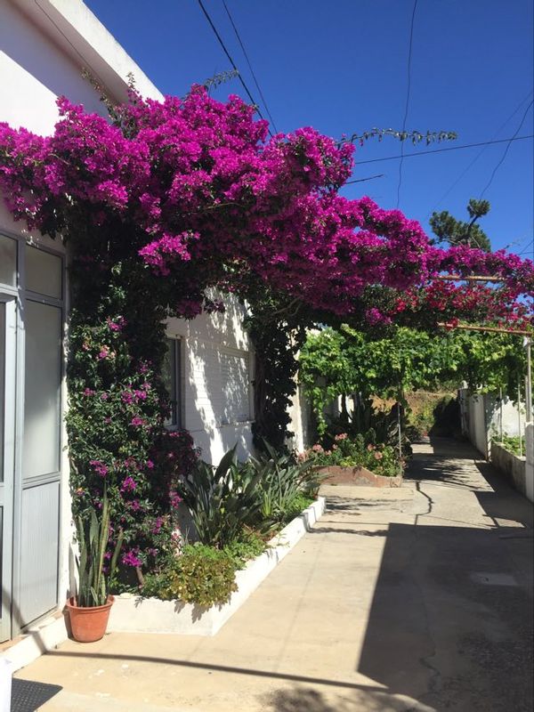 Home in Figueira da Foz