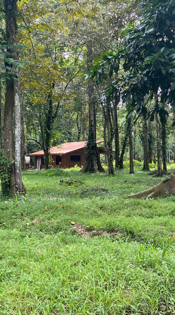 Huis in Cahuita