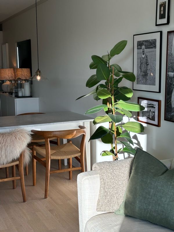 La maison de Rebecca