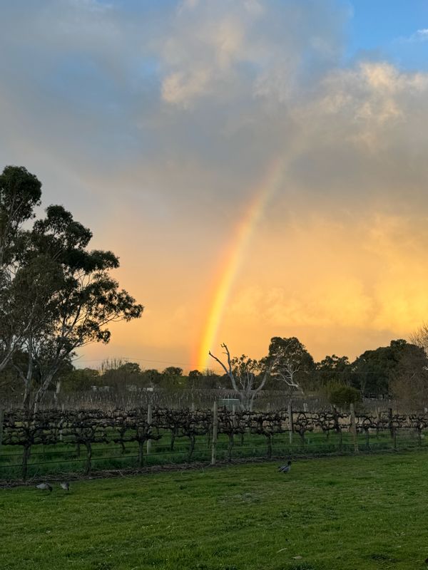 La maison de Anna & Mark