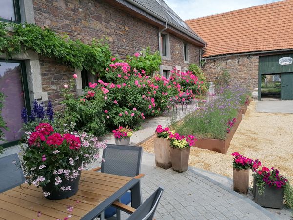 Magnifique ferme du Condroz