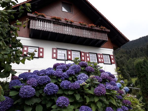 Le châlet en Forêt Noire de Susanne